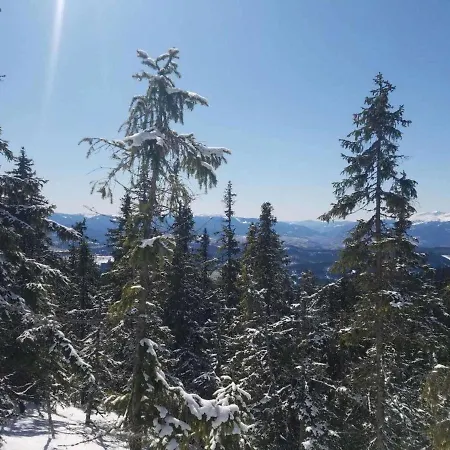 Eros Guest house Bukovel