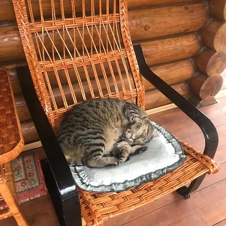 Polyanitsa окремий з каміном Cabană Bukovel