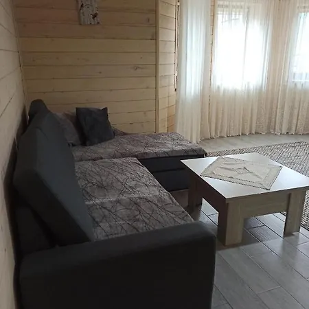 Apartment Brand New 2020 Specious Druzi 3 *
