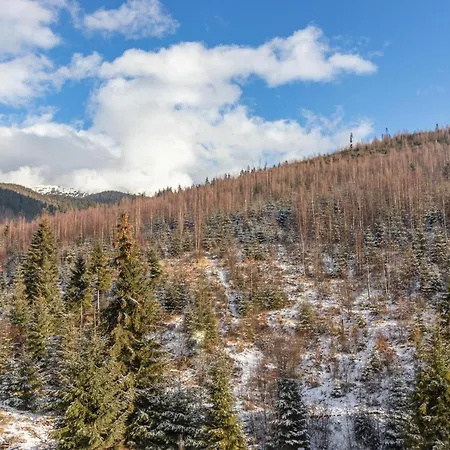 Konopka Forest & Bukovel