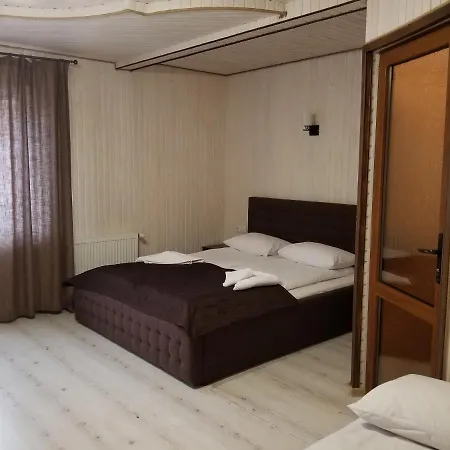 Guest house Mountain *