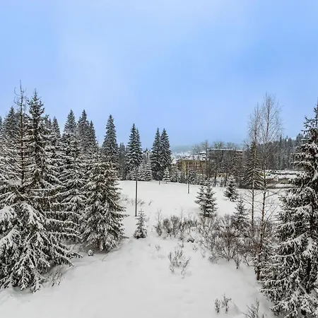 Madison Bukovel