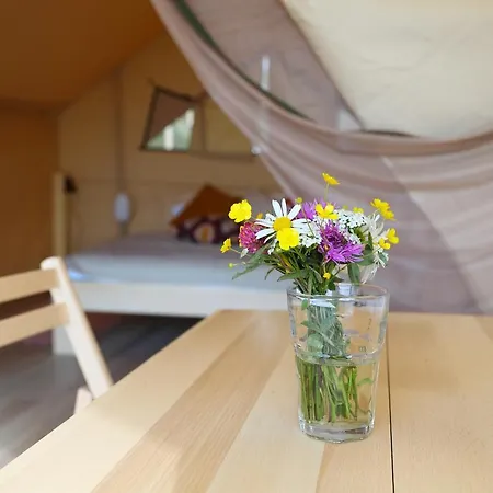 Luxury tent Glamping