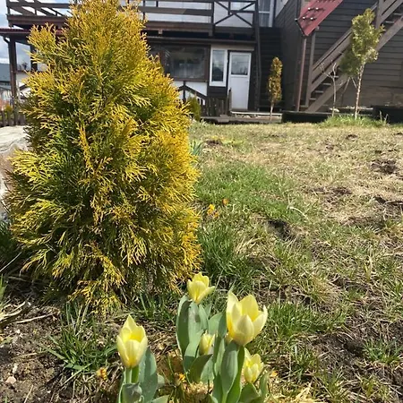 Guest house круасан сімейний