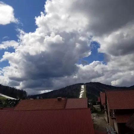 Mountain Guest house Bukovel