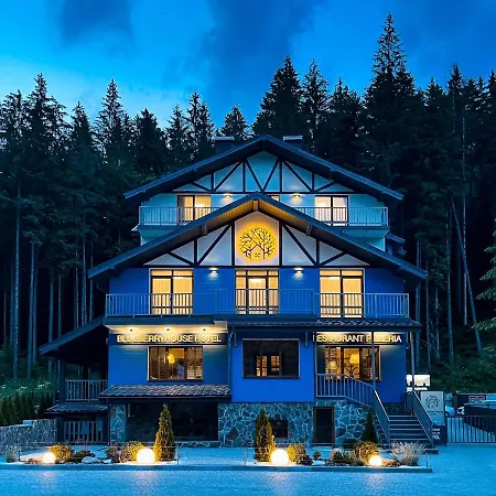 Blueberryhouse * Bukovel