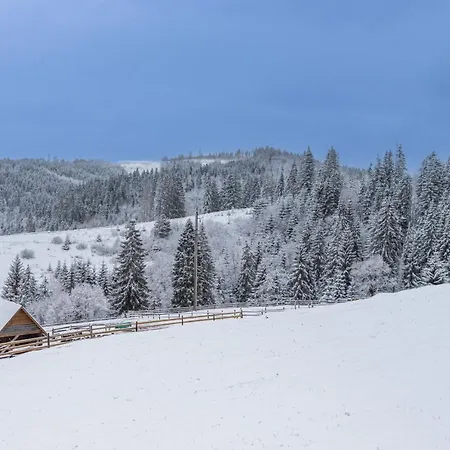 шепіт лісу Bukovel