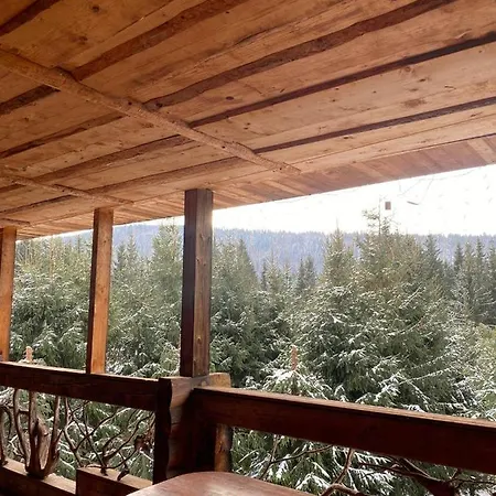Guest house ранчо в карпатах *