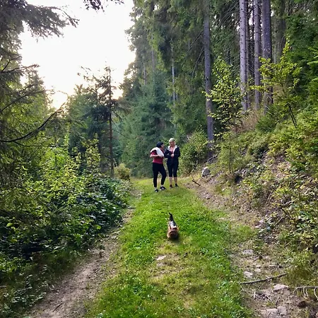 Polyanitsa окремий з каміном Cabană