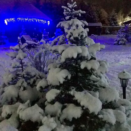 Polyanitsa окремий з каміном *