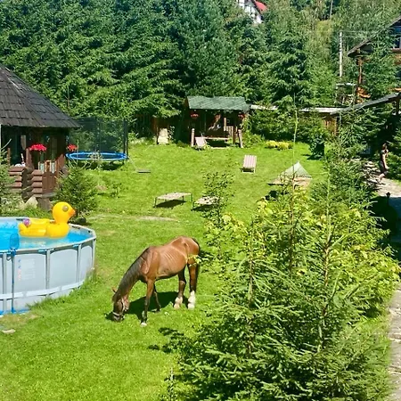 Polyanitsa окремий з каміном Cabană *