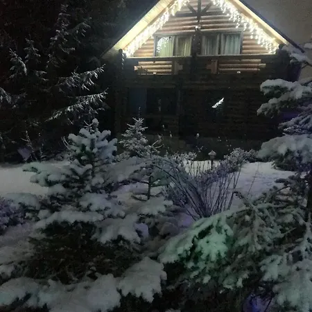 Polyanitsa окремий з каміном Cabană Bukovel