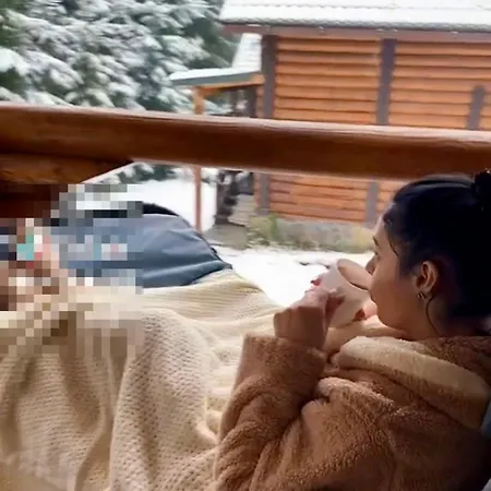 Polyanitsa окремий з каміном Cabană