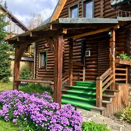 Polyanitsa окремий з каміном *