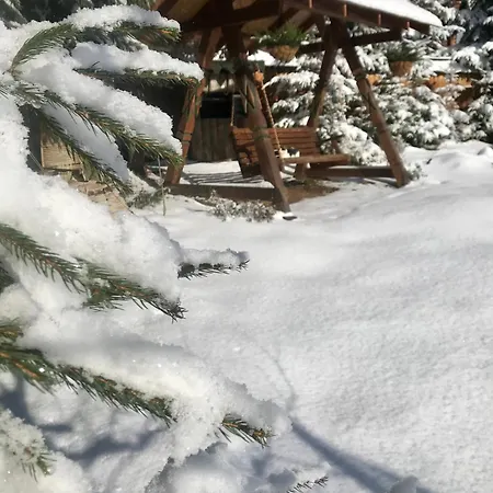 Polyanitsa окремий з каміном Cabană Bukovel