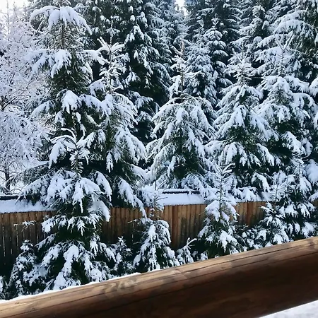Cabană Polyanitsa окремий з каміном