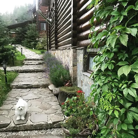Polyanitsa окремий з каміном Bukovel