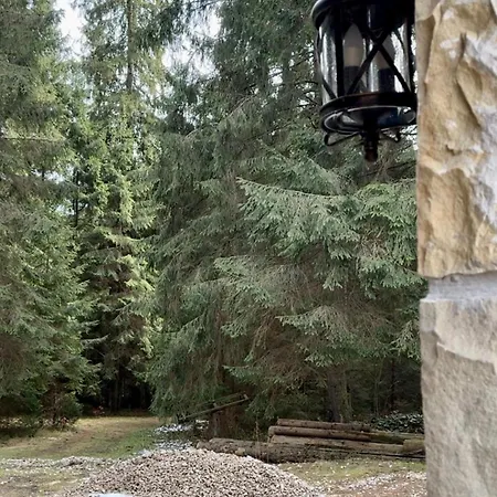 Cabană Polyanitsa окремий з каміном Bukovel