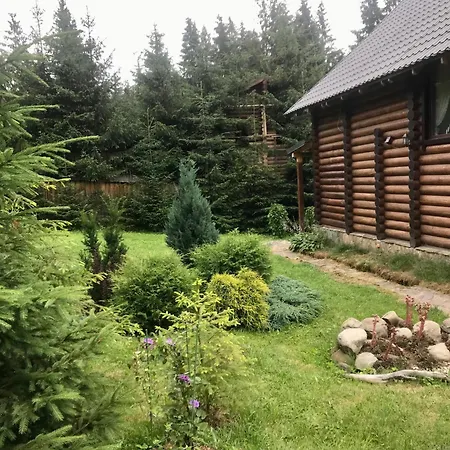 Polyanitsa окремий з каміном