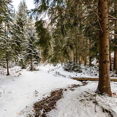 шишка Bukovel