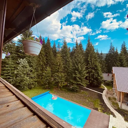 маєток ліс і гори Chalet
