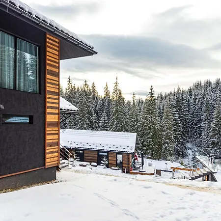 Hotel шишка Bukovel