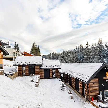 шишка * Bukovel