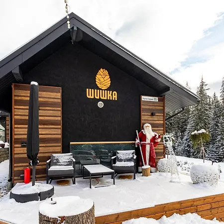 Hotel шишка Bukovel