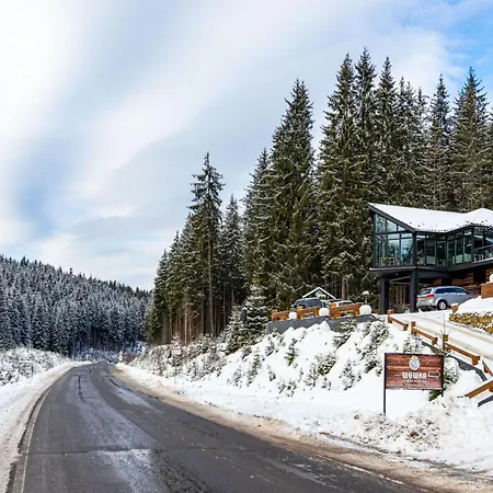 шишка Hotel Bukovel
