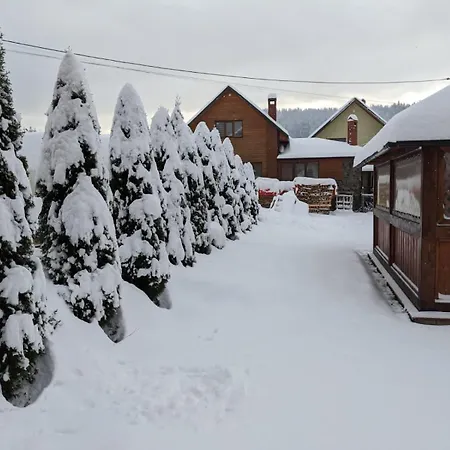 Aura Karpat Guest house *