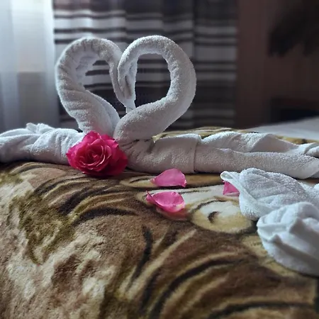 Guest house 