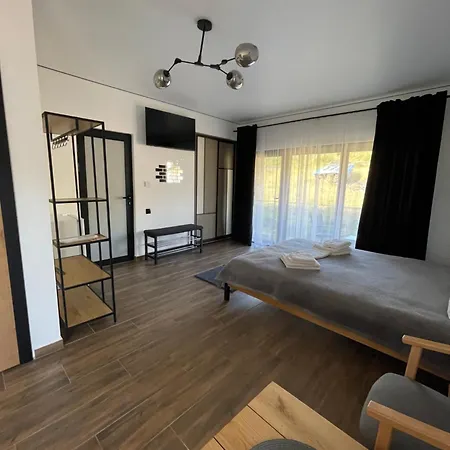 Hotel шишка