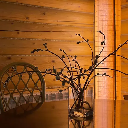 Bukovynskiy Zatyshok Chalet Bukovel