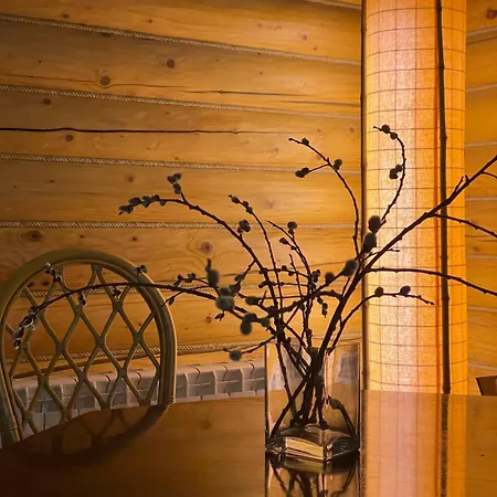 Bukovynskiy Zatyshok Chalet *