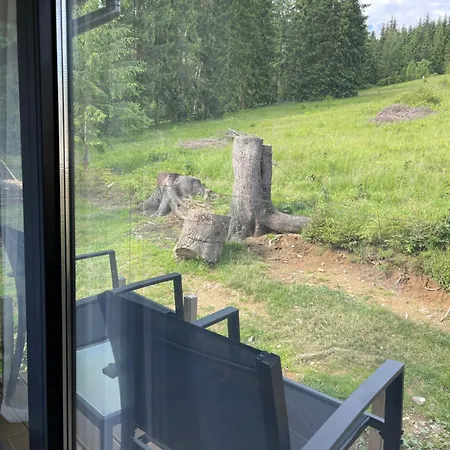 шишка Hotel