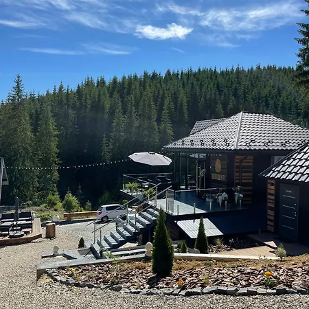 Hotel шишка *