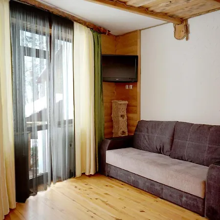 Hotel Girskiy Prutets 4*