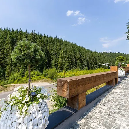 Hotel шишка