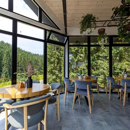 Hotel шишка Bukovel