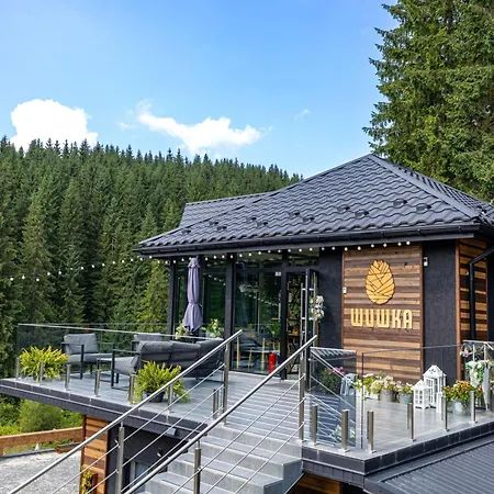 Hotel шишка Bukovel