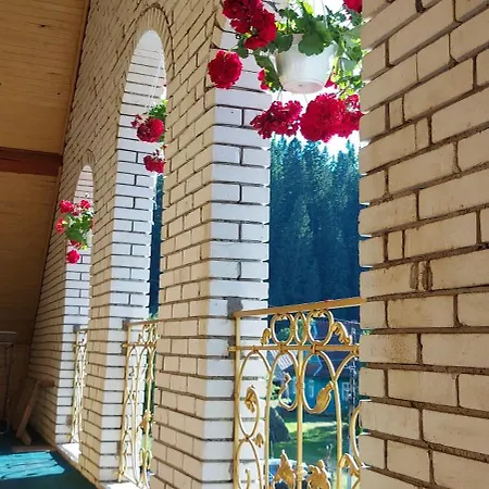 Guest house 