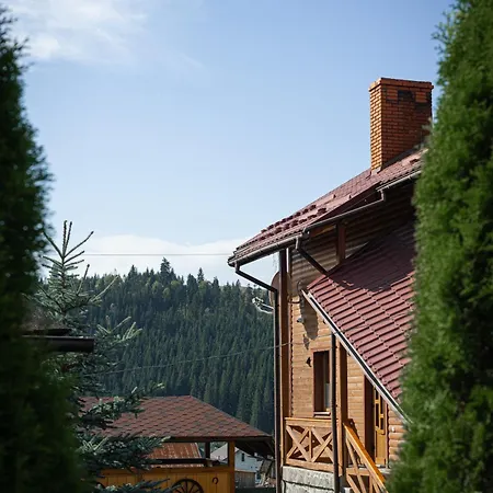 Guest house Aura Karpat *