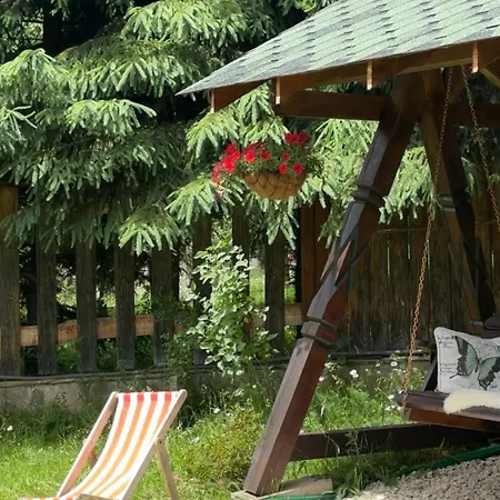 Polyanitsa окремий з каміном Cabană Bukovel