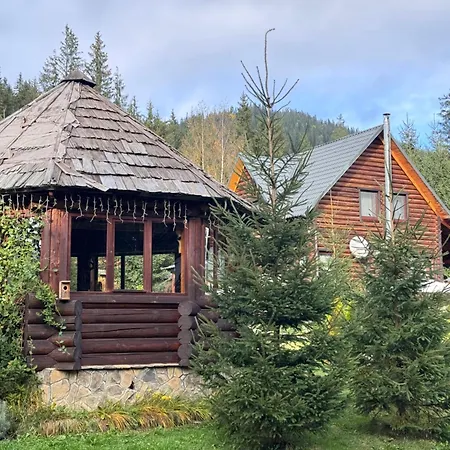 Polyanitsa окремий з каміном *