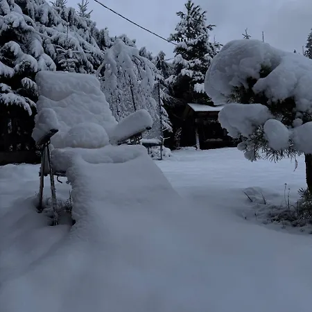 Polyanitsa окремий з каміном Bukovel