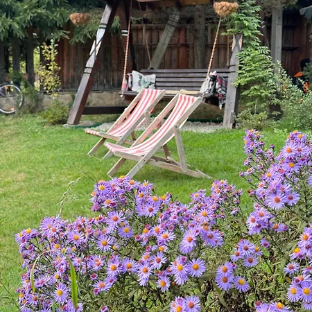 Cabană Polyanitsa окремий з каміном