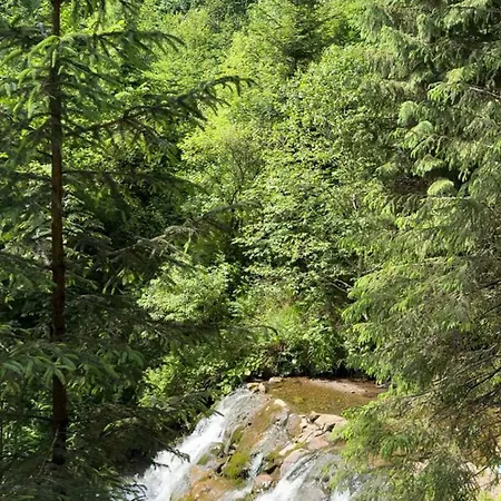 Polyanitsa окремий з каміном Cabană Bukovel