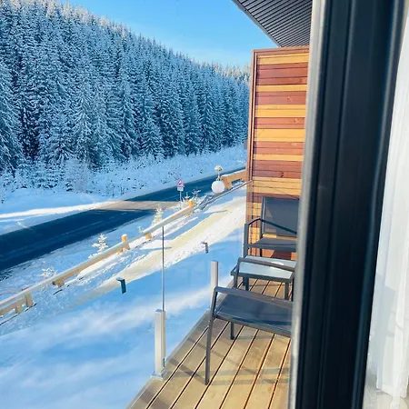 шишка Hotel Bukovel