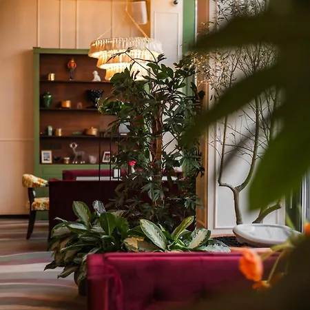 Buka & Apartament *