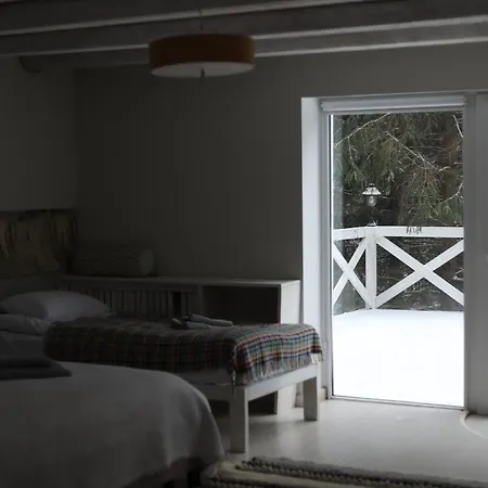 Chalet маєток ліс і гори Bukovel
